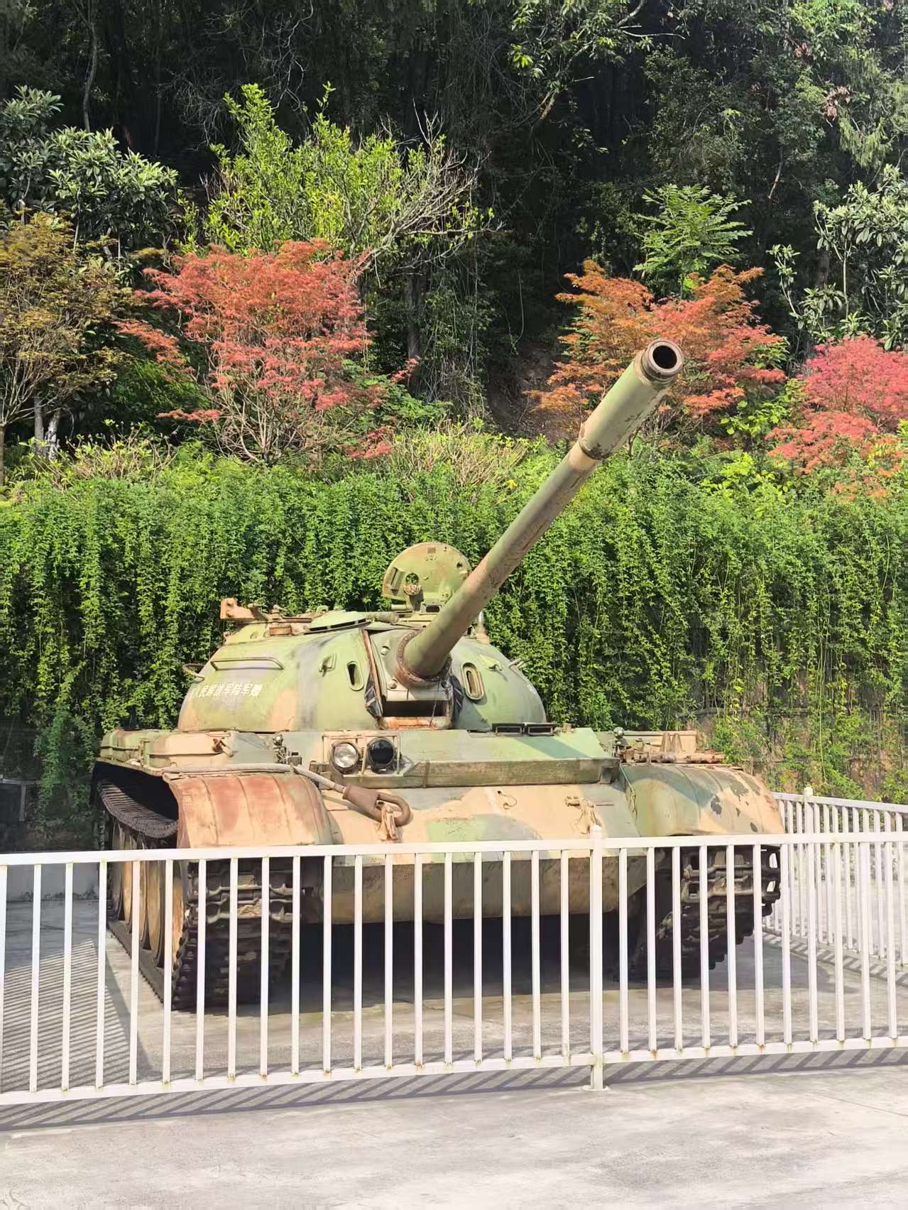 59式中型坦克