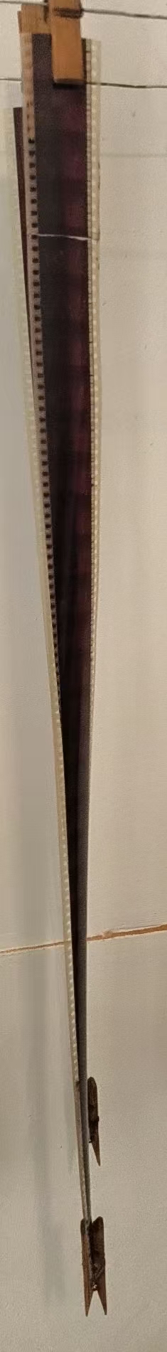 胶片6