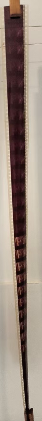 胶片12