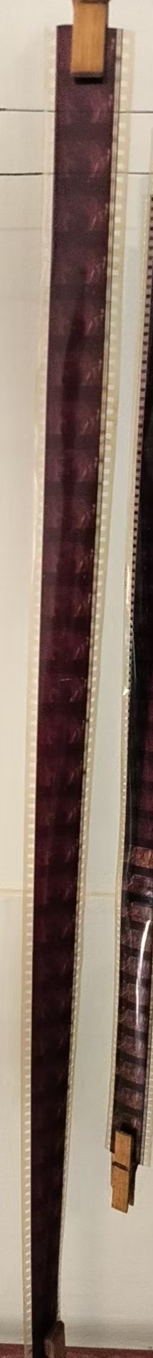 胶片14