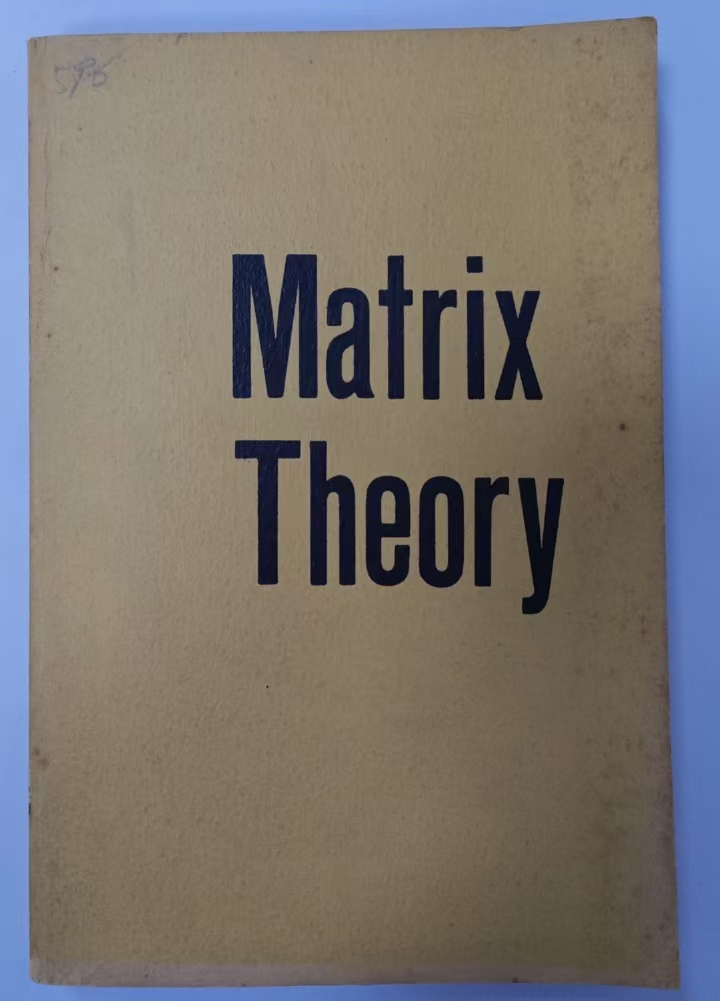 Matrix Theory