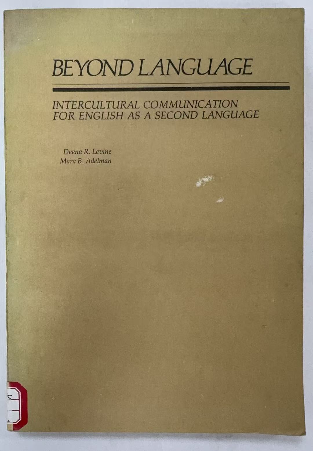 Beyond Language