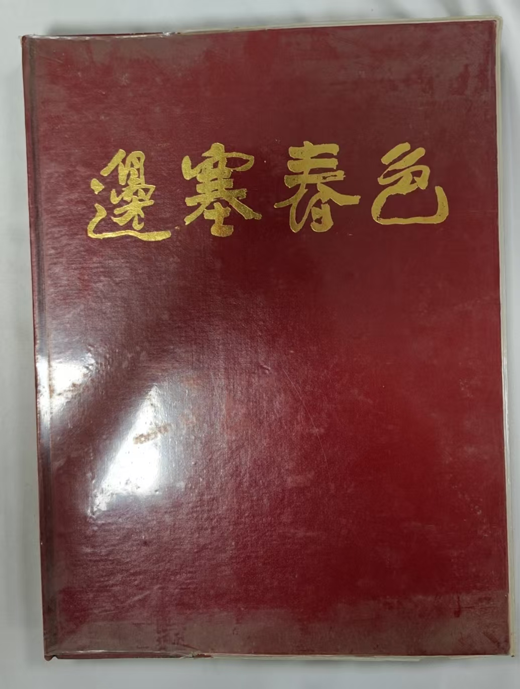 边塞春色