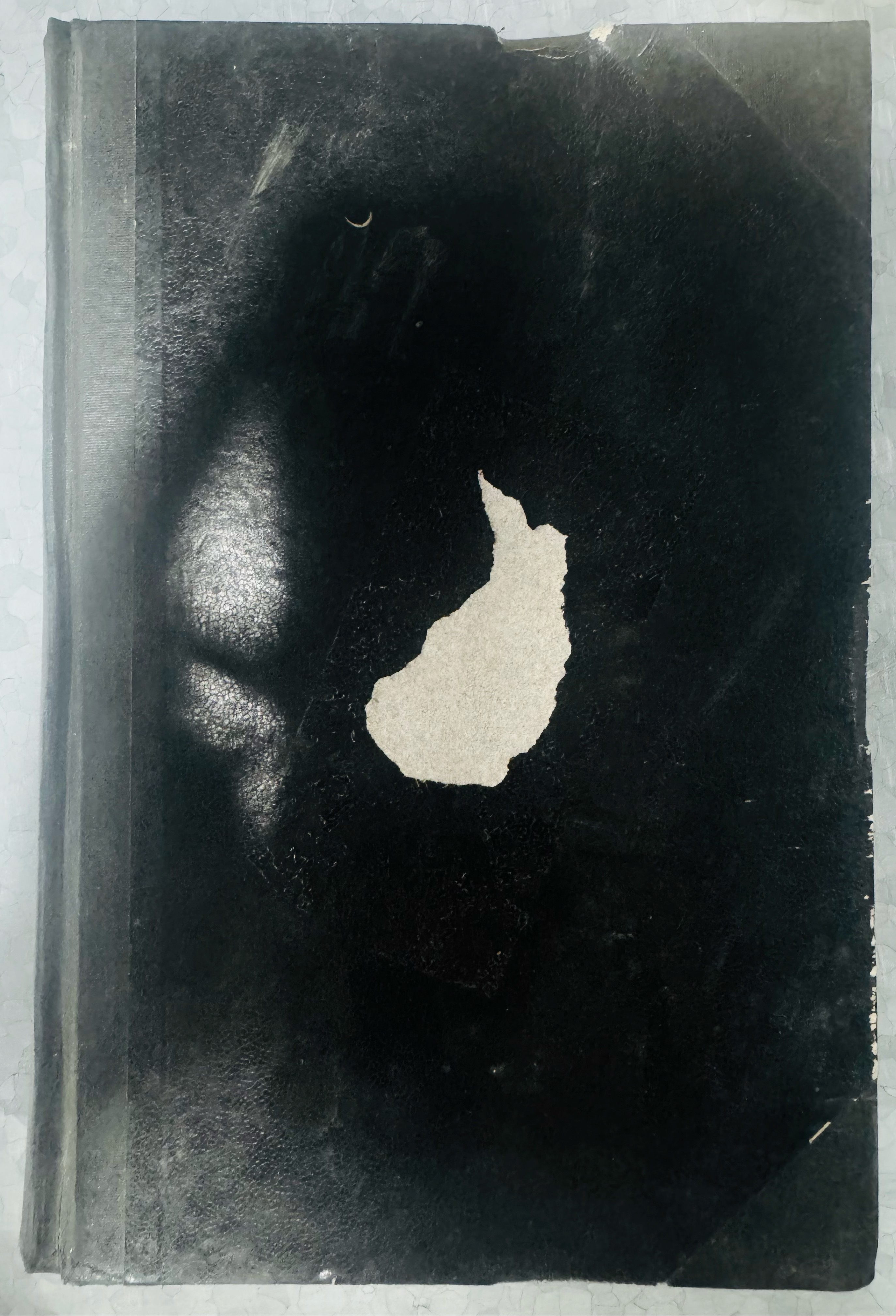 ZEITSCHRIFT FÜR PHYSIK
