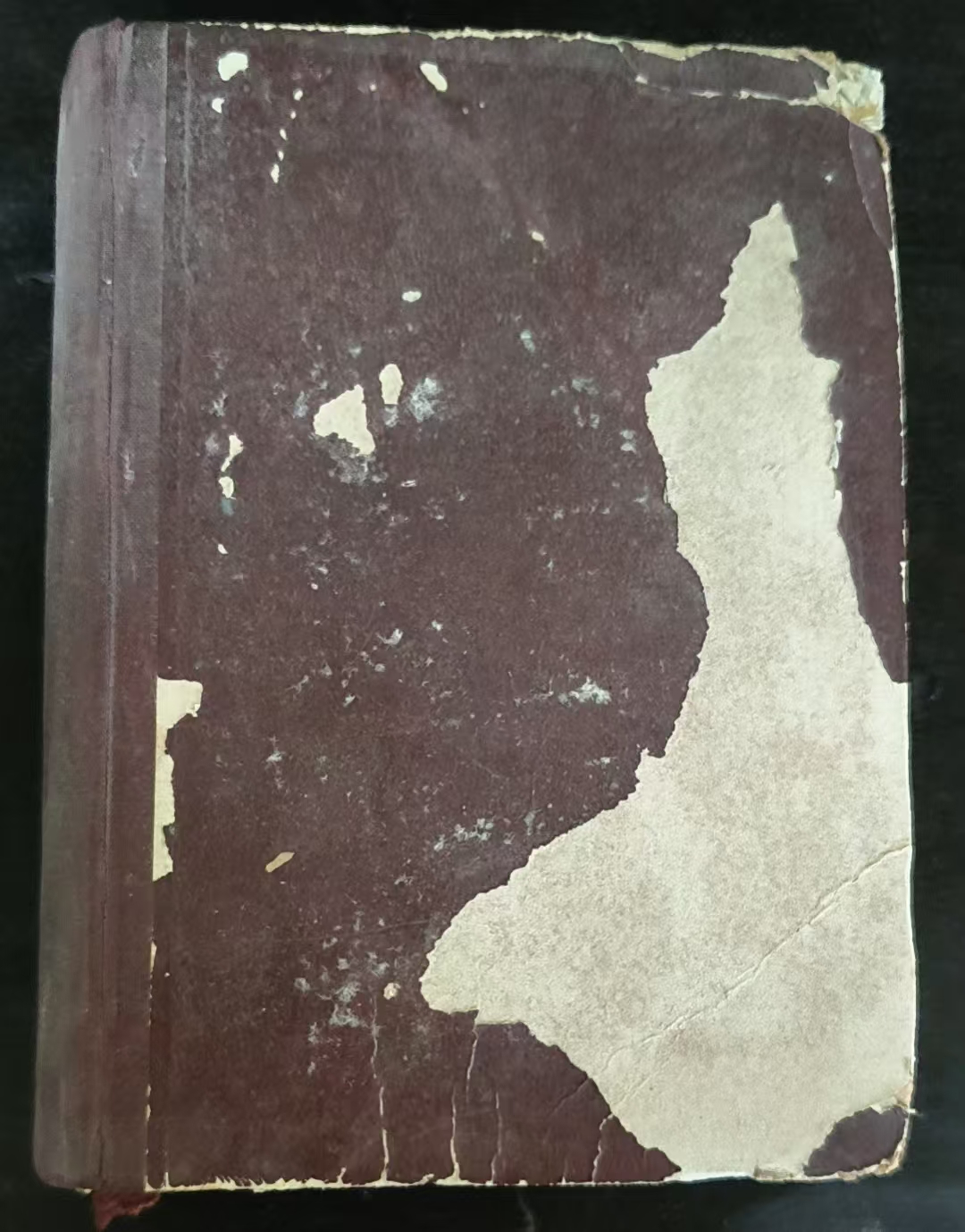 毛泽东选集（一卷本）