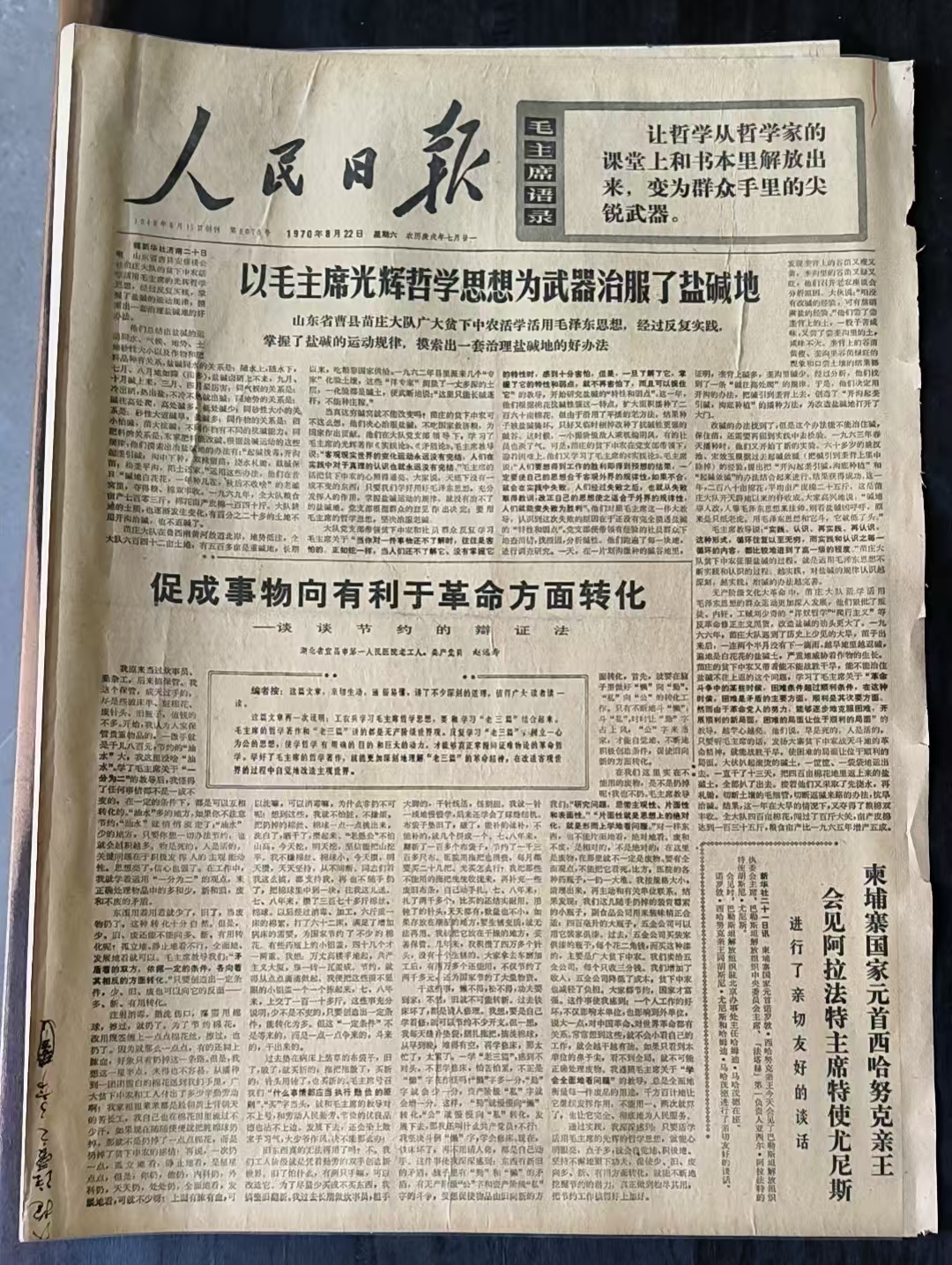 以毛主席光辉哲学思想为武器治服了盐碱地（人民日报）