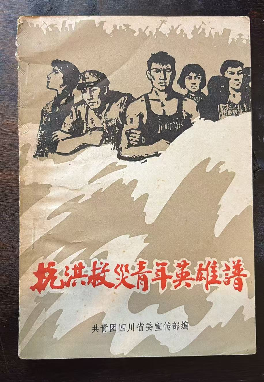 抗洪救灾青年英雄谱