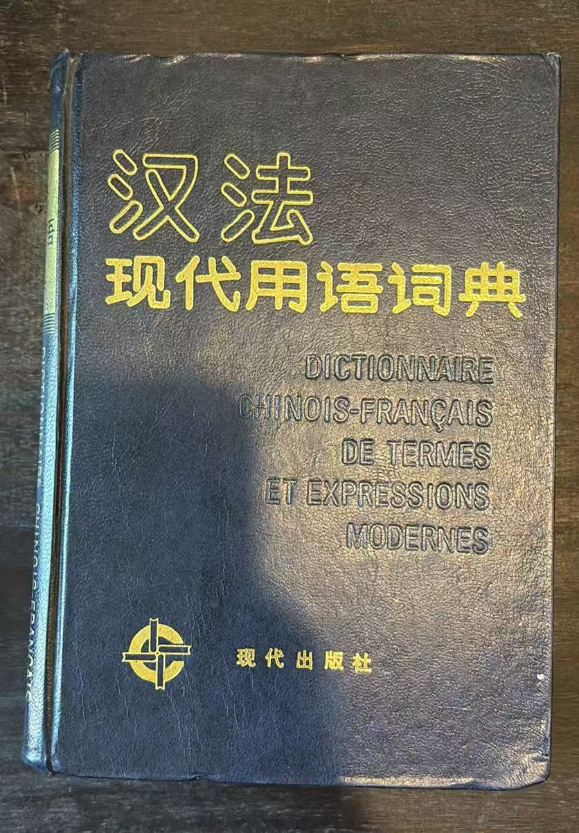 汉法现代用语词典