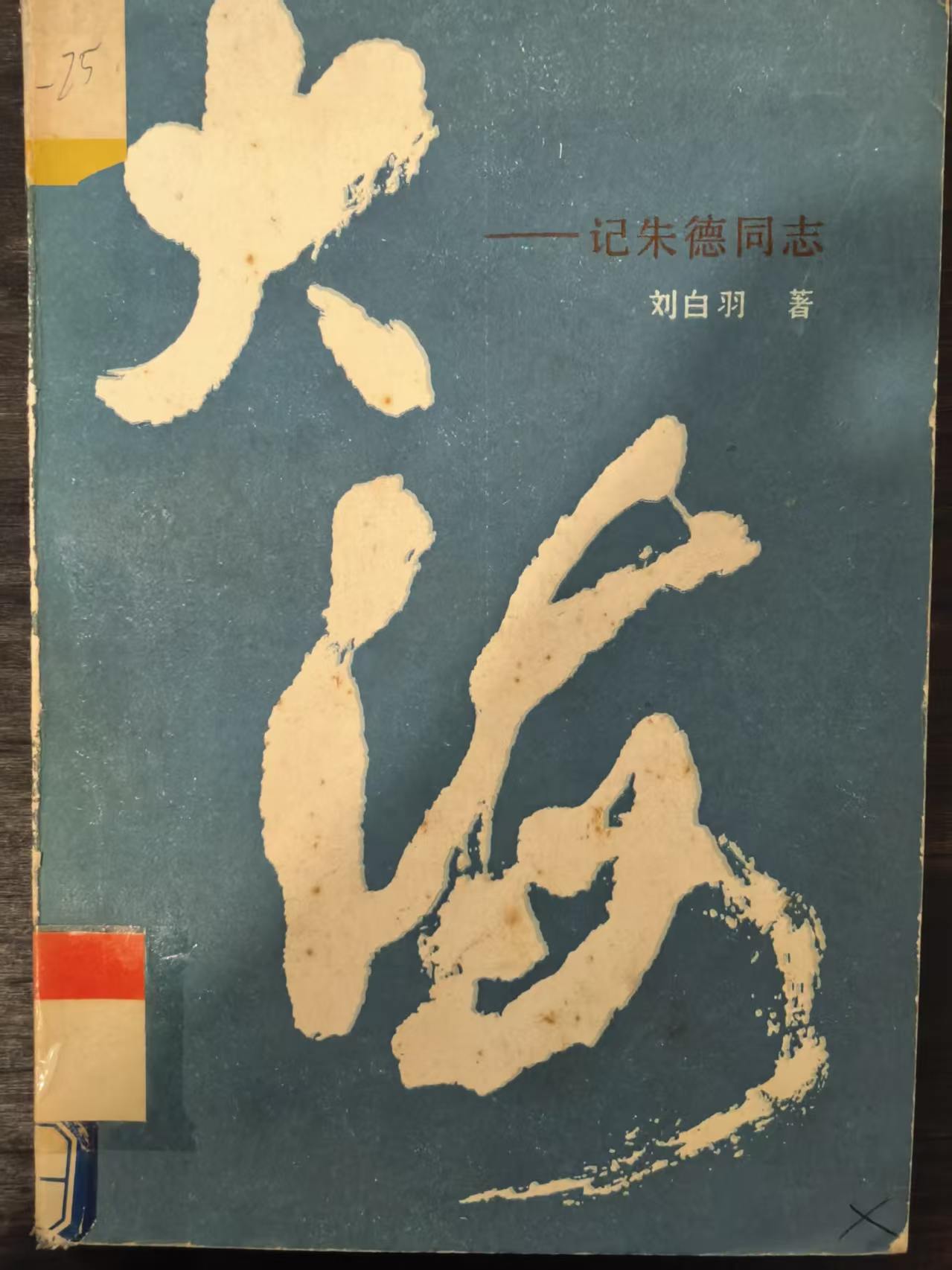 大海 记朱德同志