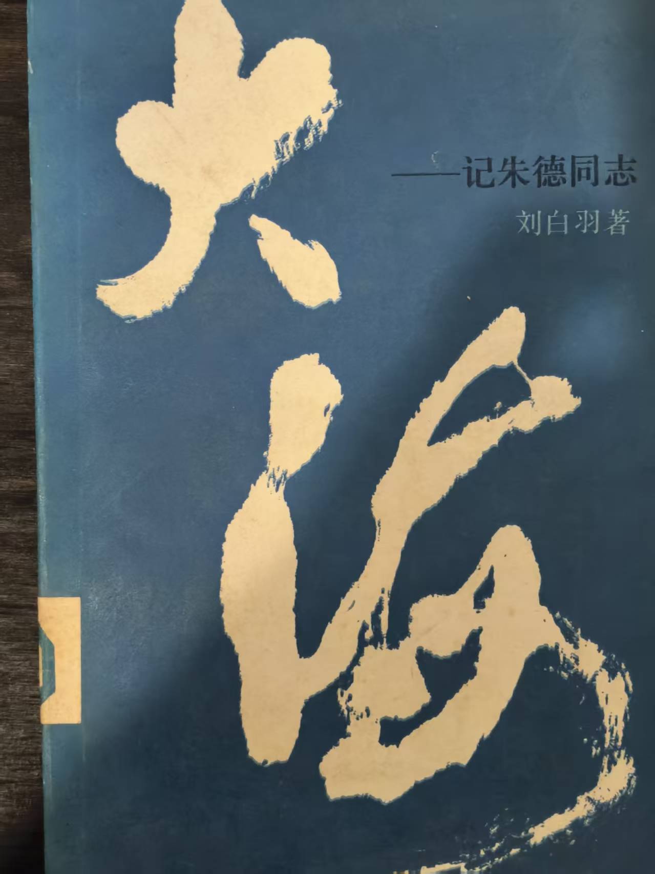 大海 记朱德同志