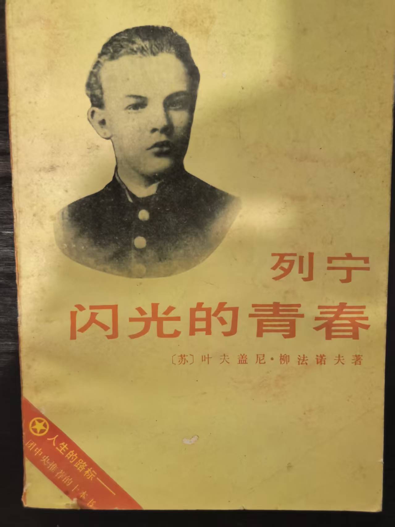 列宁 闪光的青春第三部《英雄港》