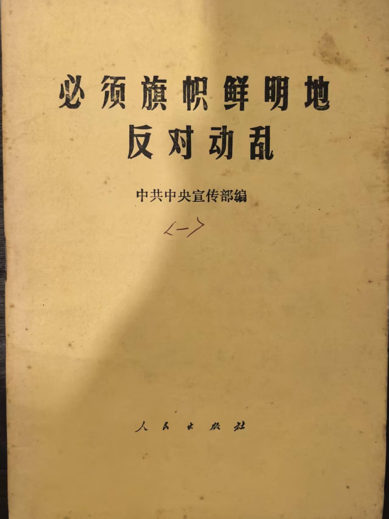 必须旗帜鲜明地反对动乱