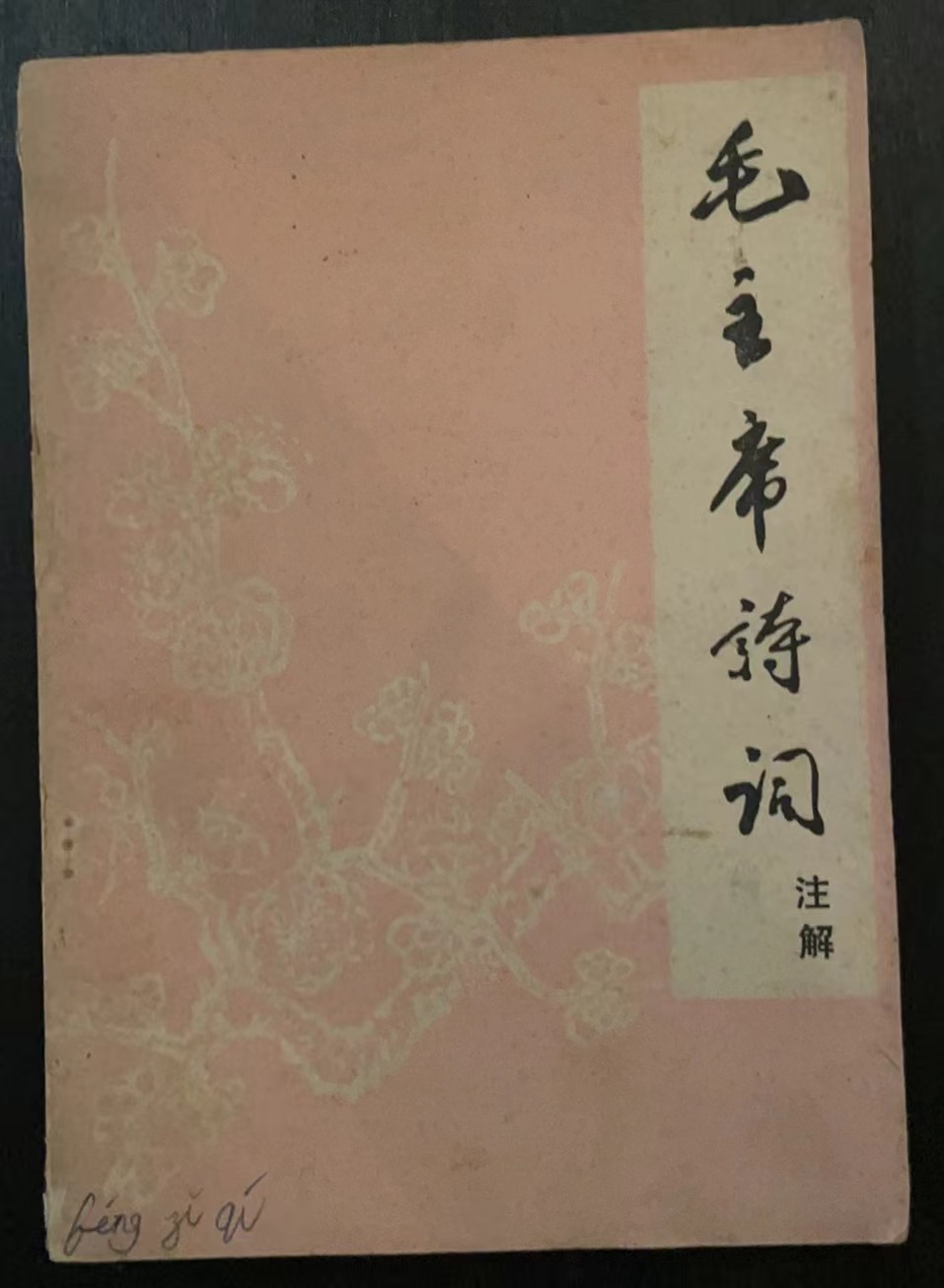 毛主席诗词注解