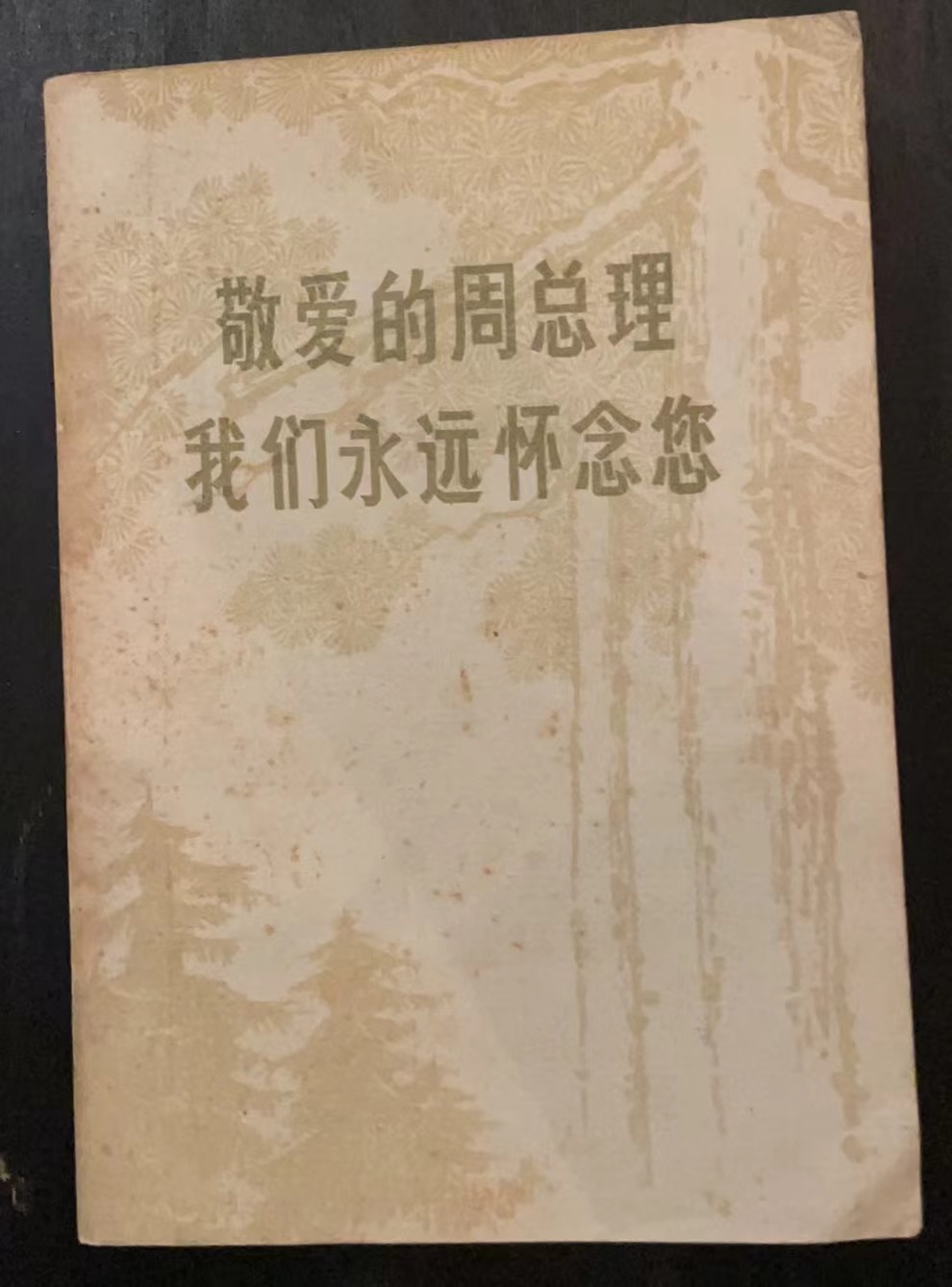 敬爱的周总理我们永远怀念您