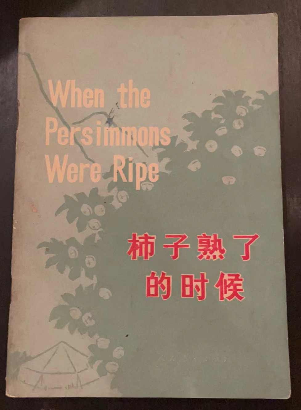 柿子熟了的时候