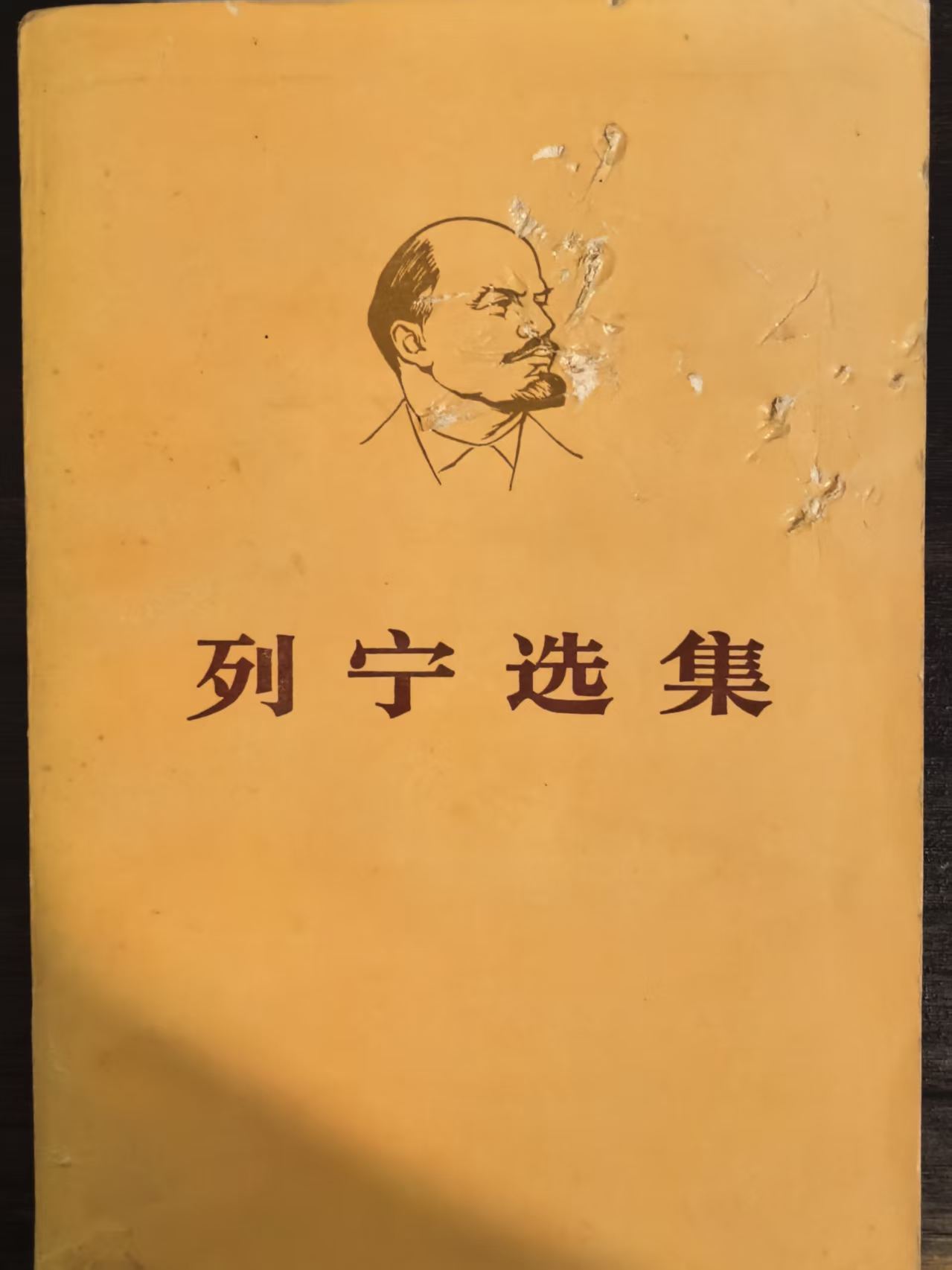 列宁选集第一卷（下）
