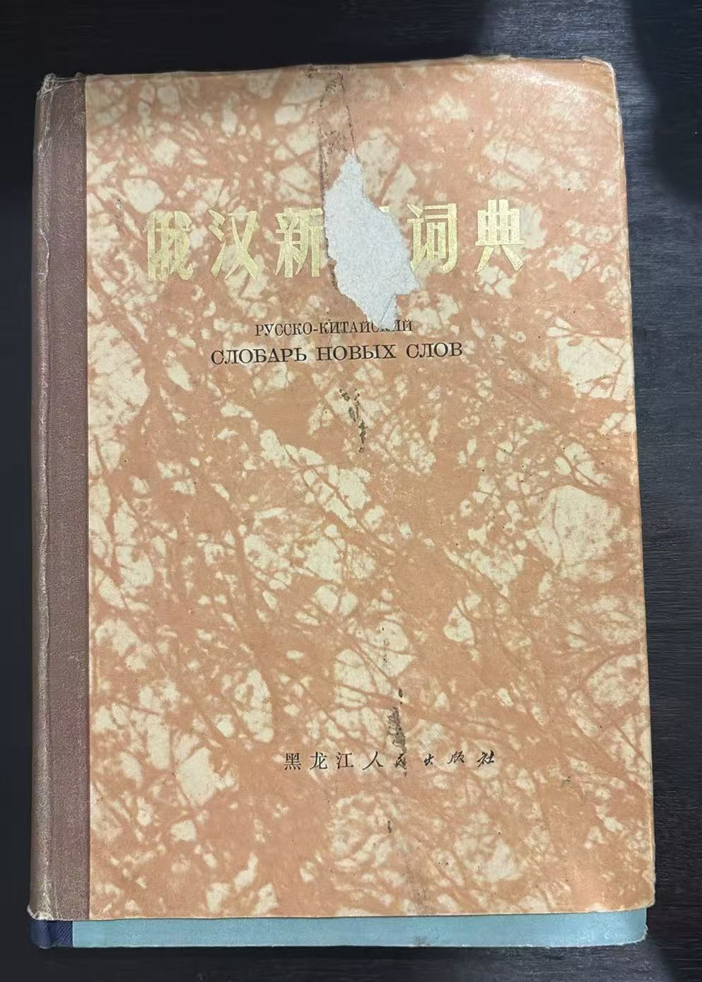 俄汉新词词典