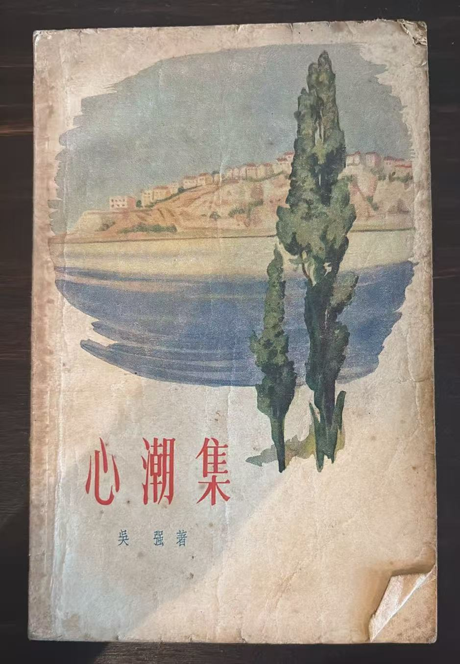心潮集