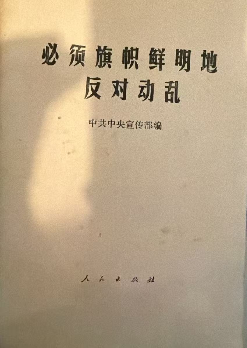 必须旗帜鲜明地反对动乱