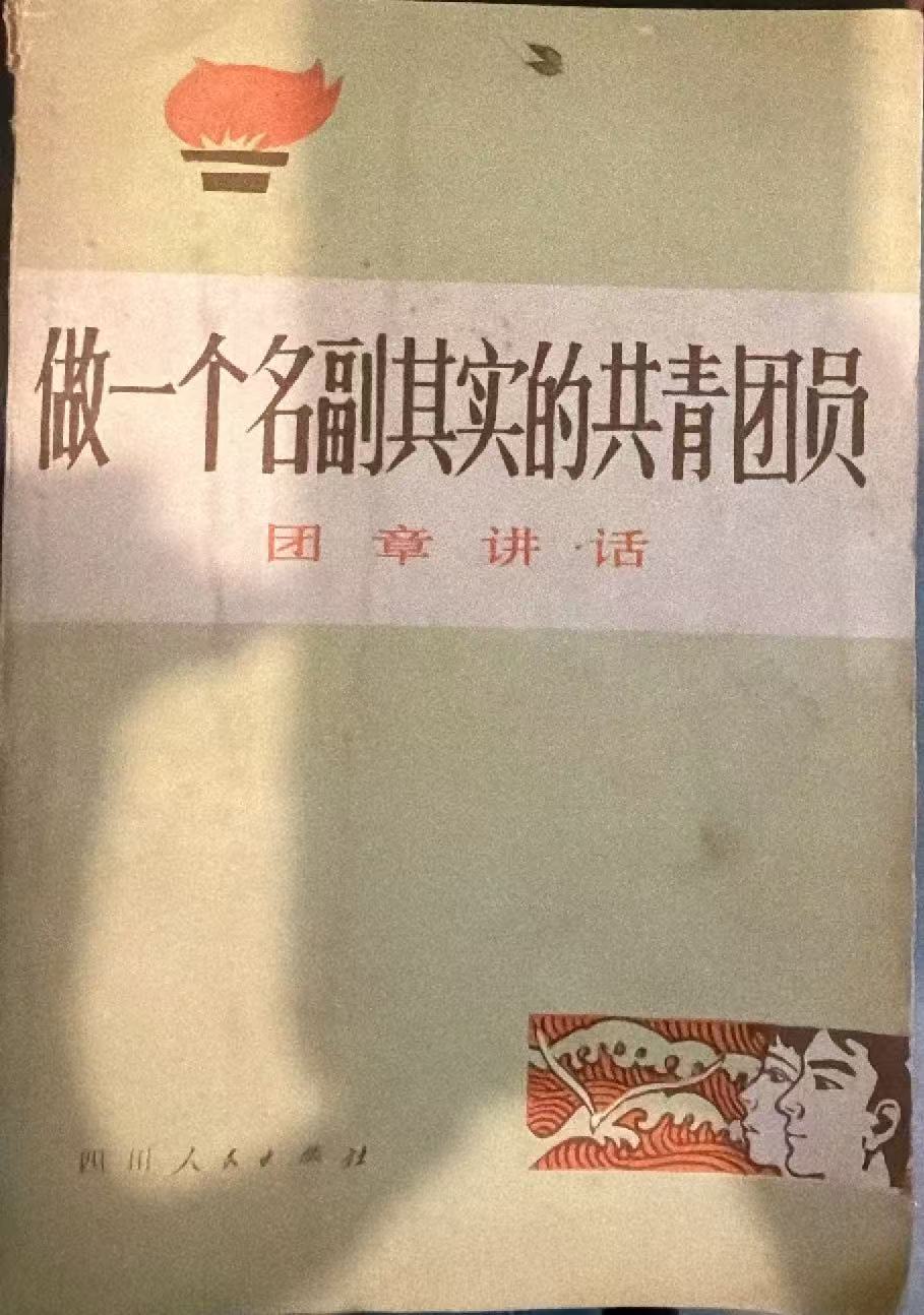 做一个名副其实的共青团员