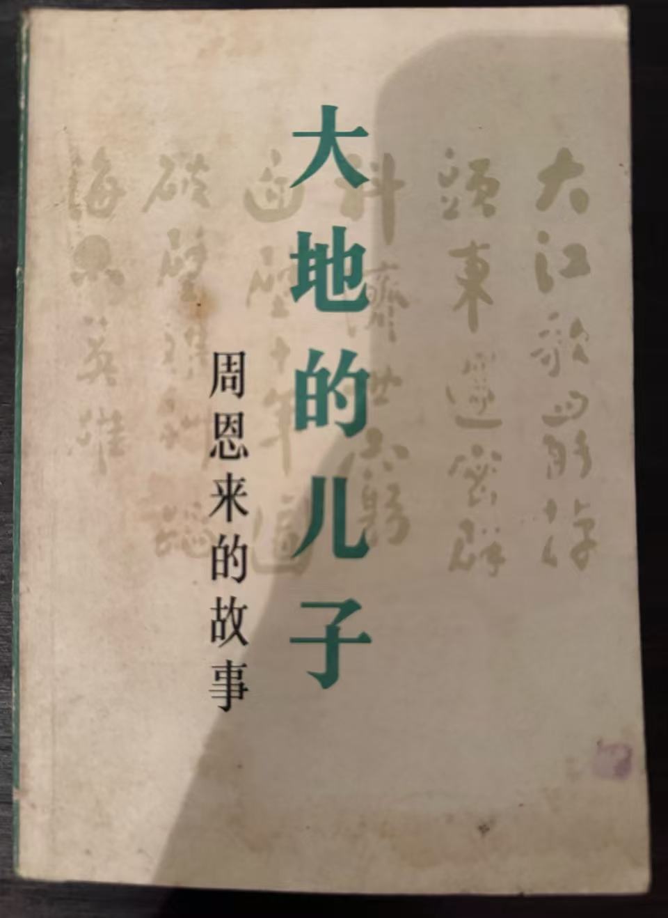 大地的儿子 周恩来的故事