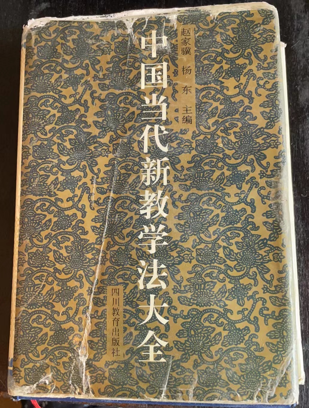 中国当代新教学法大全