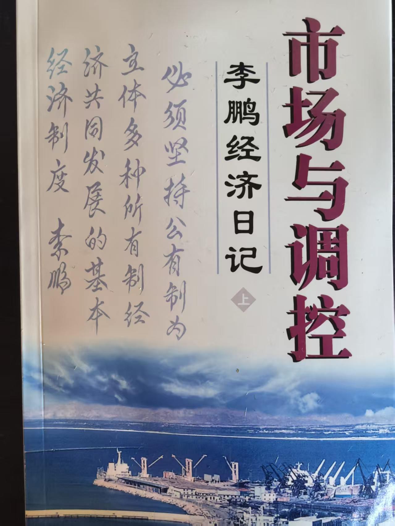 市场与调控 李鹏经济日记