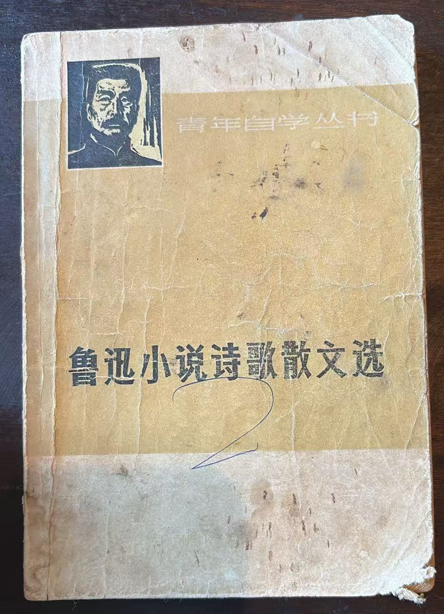 鲁迅小说诗歌散文选