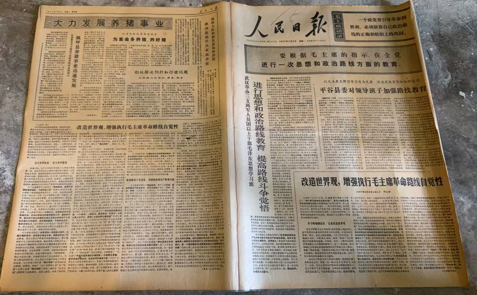 开展思想政治路线教育（人民日报）
