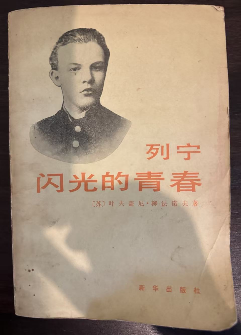 列宁 闪光的青春