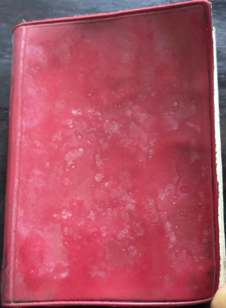 毛泽东选集（一卷本）