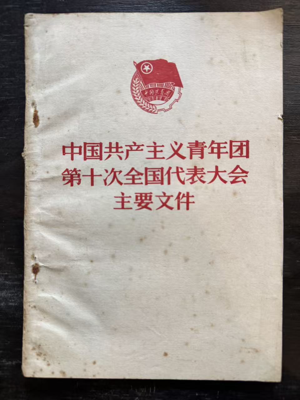 中国共产主义青年团第十次全国代表大会主要文件