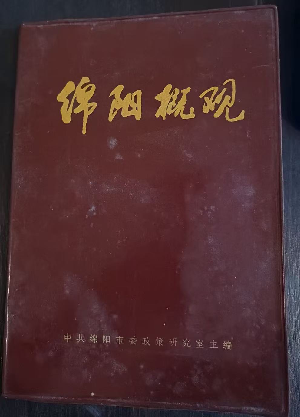 绵阳概观